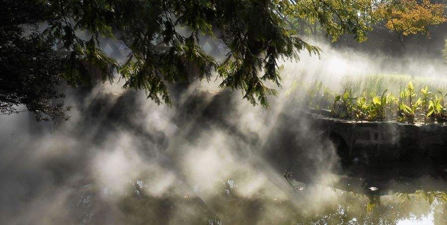  人工造霧工程系統、大棚加濕造霧、噴霧系統