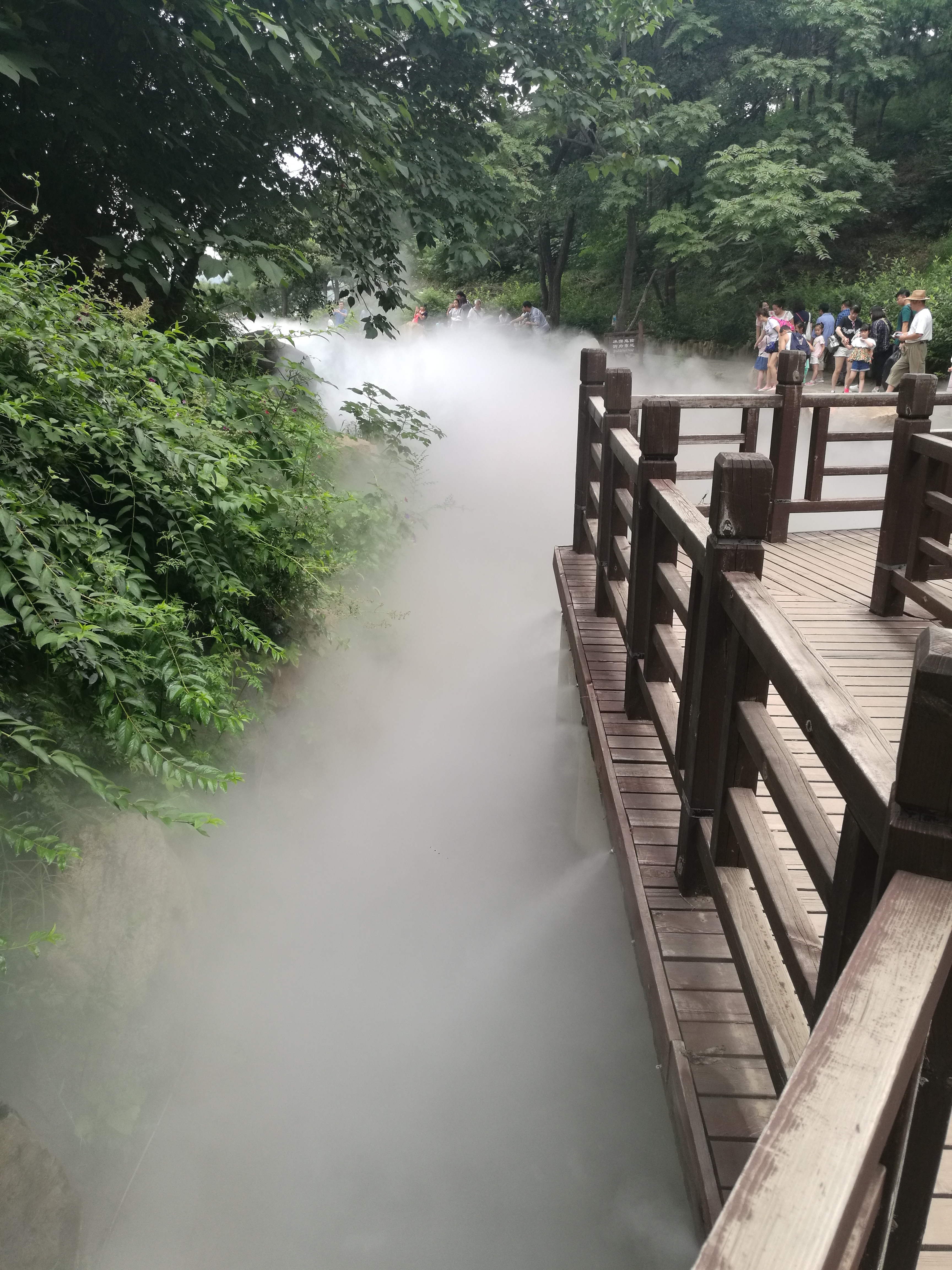 霧森景觀(guān)、霧森造景、人造霧、小區造景、降塵、加濕、小區霧森造景、樓盤(pán)云霧造景